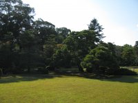 IMG_3316.JPG
